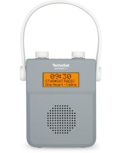 TechniSat DigitRadio 30 grau