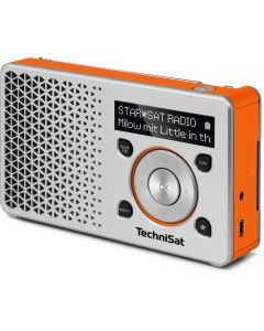 TechniSat DigitRadio 1, silber / orange